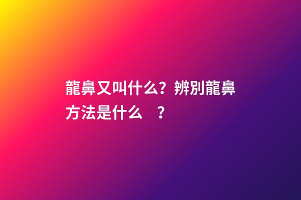 龍鼻又叫什么？辨別龍鼻方法是什么？